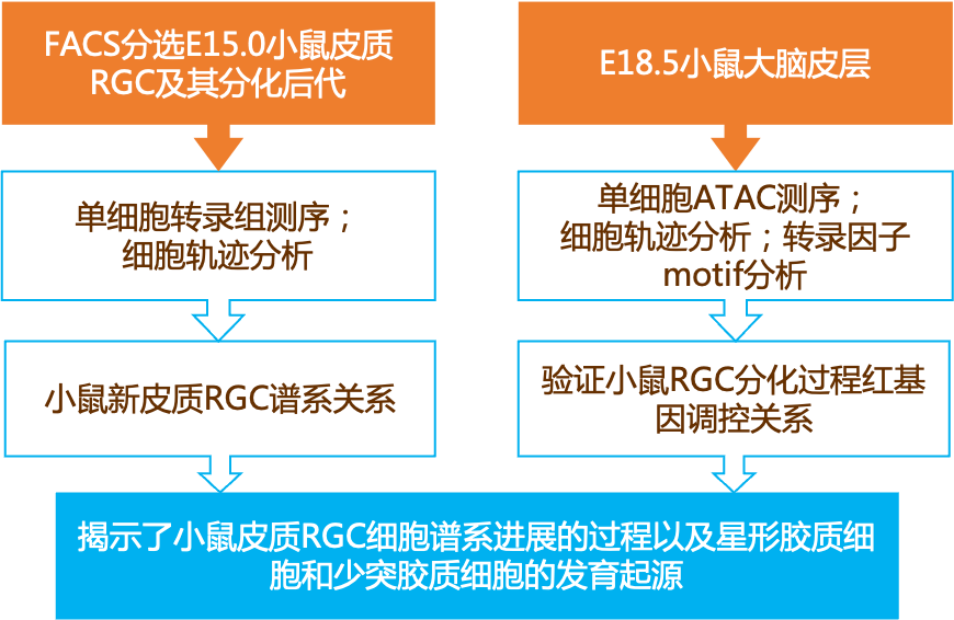 2024新奥正版资料大全免费提供-经典理论的有效解读与应用_体育版.3.384