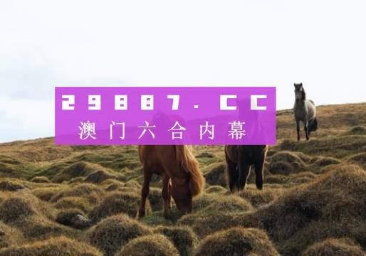 澳门二四六开奖结果查询-探索城市隐秘角落的魅力_智慧版4.597