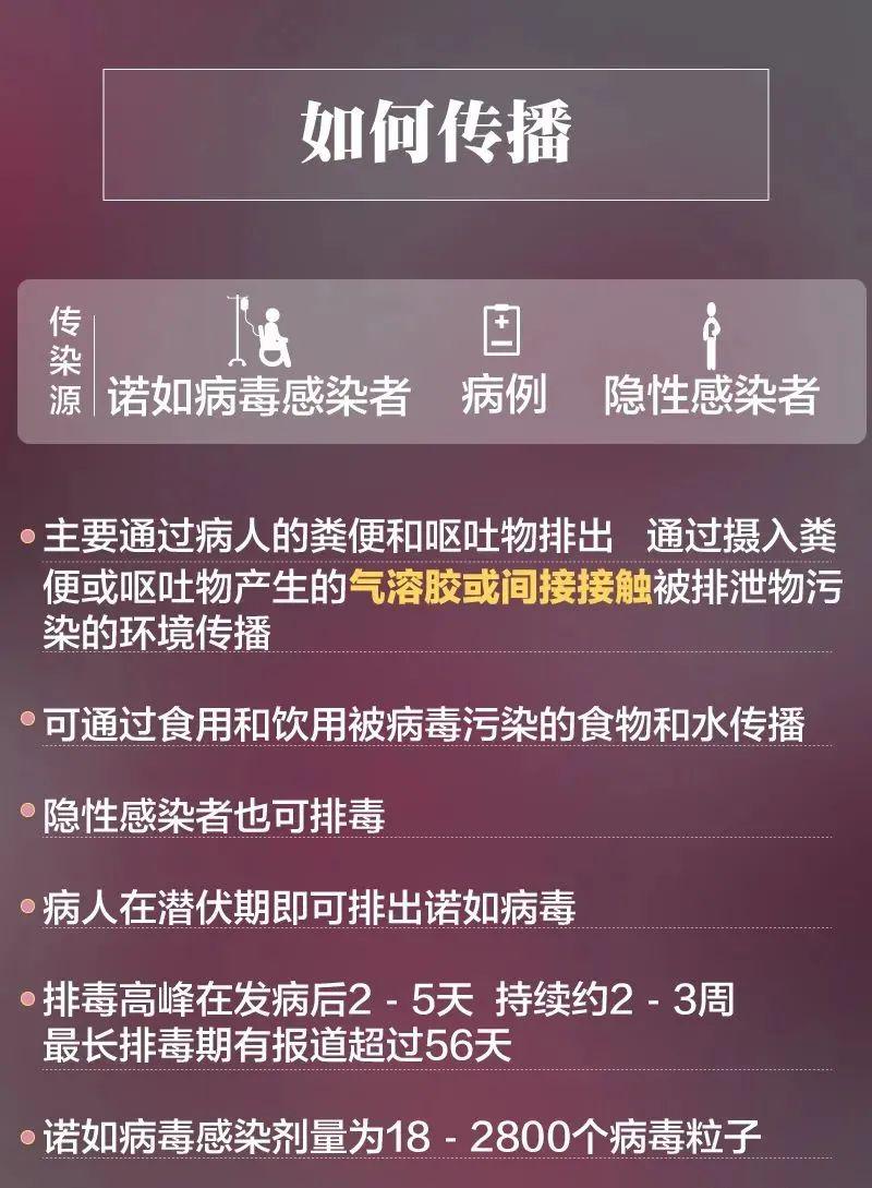 全国多地爆发诺如病毒-国产化作答解释落实_安卓款.1.114