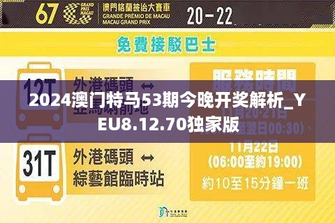 2024年今晚澳门特马-全面解答解释落实_停止版.0.911